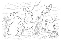 There's a Storm Coming